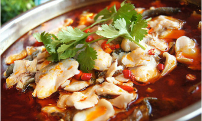 成都哪里有火鍋魚(yú)技術(shù)培訓(xùn)班？